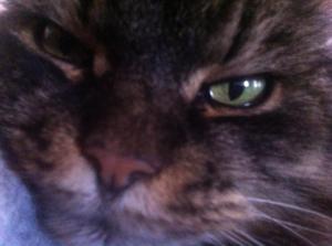 11108_4331434171672_64974046_n