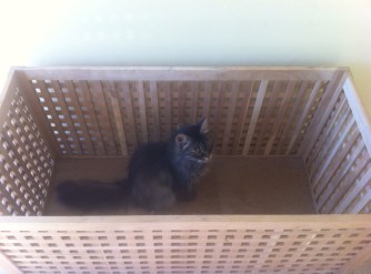 3eaf5887-dc56-41a0-817b-c7d17bc28f12-1