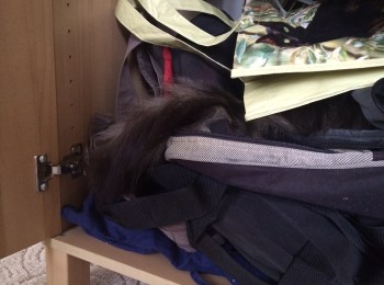 509a9669-79fe-492e-98b6-82dd66712738-1