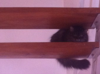 74d67062-519d-498c-bf3b-1cdcbafd20d3-1