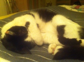 84863941-db3d-43fd-bbd3-f5ce627453cc-1