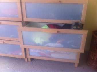 897b303b-7686-438b-9b42-155e9936af81-1